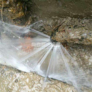 蒙阴消防管道漏水检测